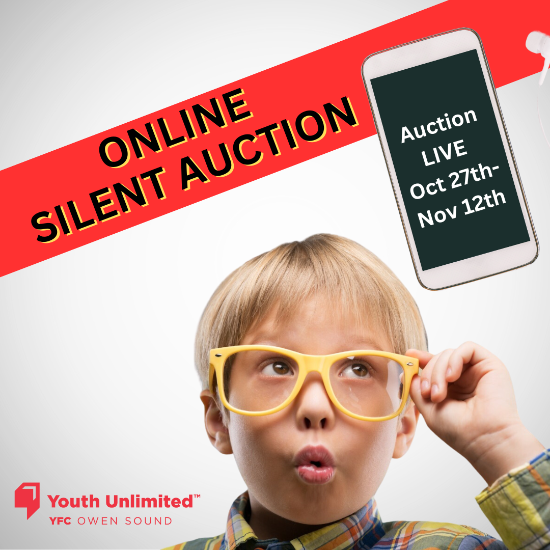 ONLINE SILENT AUCTION – Owen Sound